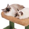 Cat Tree 41 Inches Cactus Cat Tower with Sisal Covered Scratching Post and Cozy Condo for Indoor Cats; Cat Climbing Stand with Plush Perch &Soft Hammo