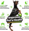 Hemp and Salmon Oil for Dogs Skin and Coat Health with 3 6 9 Omega Hemp Oil for Dogs Cats Rich in Vitamins B and E Dog Fish Oil and Hemp for Dogs