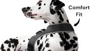 Global Surveillance GPS Tracker Pets Collar Waterproof Location Finder Size:M