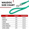 Rolled Leather Dog Leash 6Ft x 0.4 in for Small Medium and Large Dogs Heavy Duty Leash for Outdoor Walking Running Training Mint Color