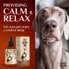 Hemp Oil for Dogs Cats Joint Supplement Skin Health Anxiety Calm Pain Omega 3 6 9 and Vitamins B C E