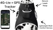Global Surveillance GPS Tracker Pets Collar Waterproof Location Finder Size:M