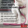 Rolled Leather Dog Leash 4Ft x 0.3 in for Small Medium Large Dogs Heavy Duty Pink Color