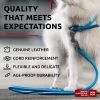 Blue Rolled Leather Dog Leash 6Ft x 0.3 in for Small Medium and Large Dogs Heavy Leash for Outdoor Walking Running Training