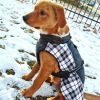Alpine All-Weather Waterproof Jacket Coat with Plane and Plaid Accents for your Dog Coat