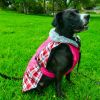 Alpine All-Weather Waterproof Jacket Coat with Plane and Plaid Accents for your Dog Coat