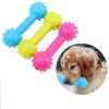 Rubber Dog Toy with Thorn Bone Rubber For Teeth Dog Toys for Small Dogs
