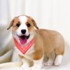 Adjustable Bandana And Leather Pet Collar Triangle Scarf Shape