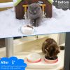 Heated Water Bowl For Dogs And Cats Ceramic Heated Pet Water Bowl Food Warmer USB Powered Thermal Pet Bowl Provide Fresh Non Freezing Drinkable Water