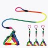 1 Set Nylon Rainbow Pet Dog Harness Leash Combination Soft Walking Harness Lead Colorful and Durable Traction Rope 120cm (42.25 inches)