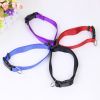 Pet Dog Solid Color Puppy Collars Tiny to Small Dogs Quick Snap Buckle Dog Collar