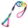 1 Set Nylon Rainbow Pet Dog Harness Leash Combination Soft Walking Harness Lead Colorful and Durable Traction Rope 120cm (42.25 inches)