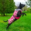 Alpine All-Weather Waterproof Jacket Coat with Plane and Plaid Accents for your Dog Coat